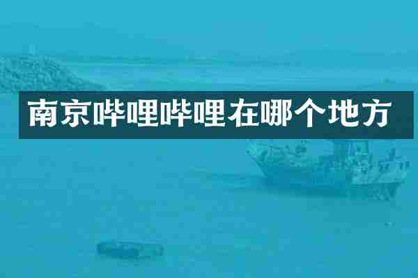 南京哔哩哔哩在哪个地方