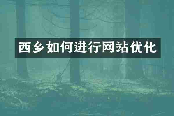 西乡如何进行网站优化
