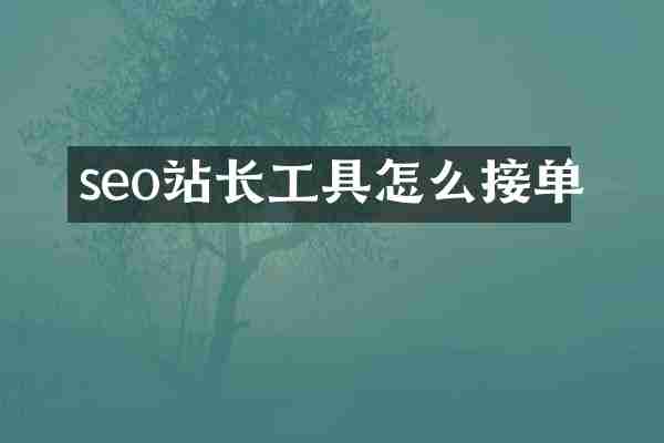 seo站长工具怎么接单