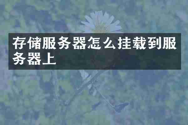 存储服务器怎么挂载到服务器上