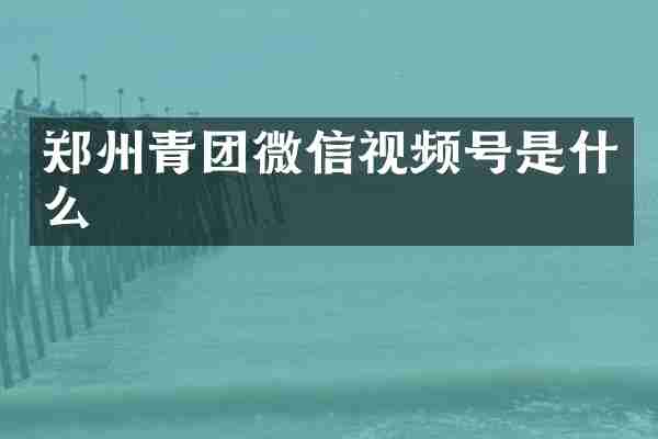 郑州青团微信视频号是什么