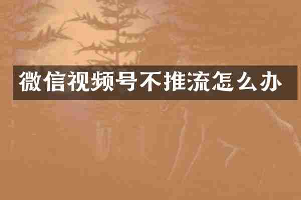 微信视频号不推流怎么办