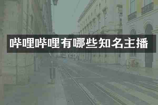 哔哩哔哩有哪些知名主播