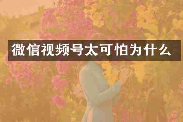 微信视频号太可怕为什么