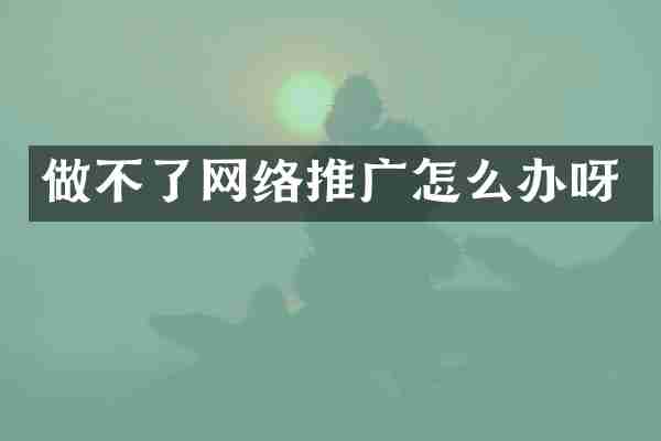 做不了网络推广怎么办呀
