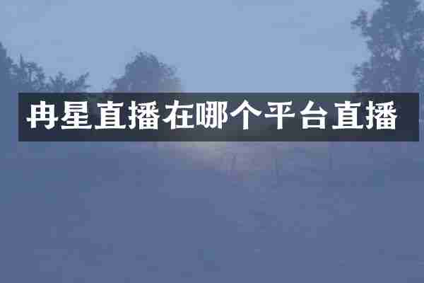 冉星直播在哪个平台直播