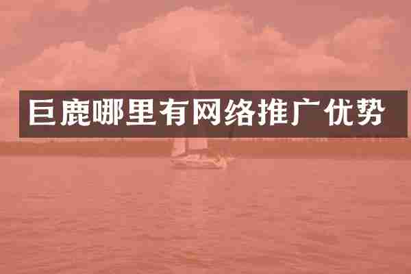巨鹿哪里有网络推广优势
