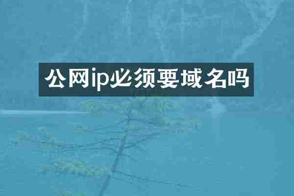 公网ip必须要域名吗