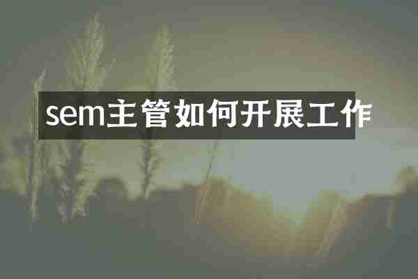 sem主管如何开展工作