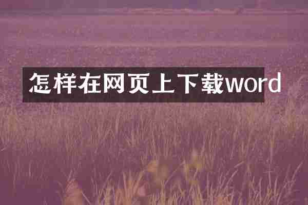 怎样在网页上下载word