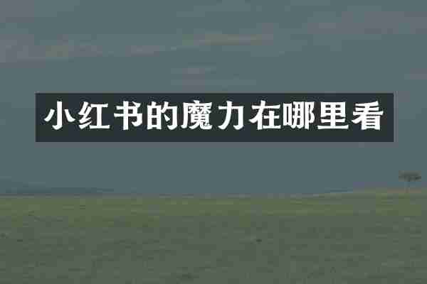 小红书的魔力在哪里看