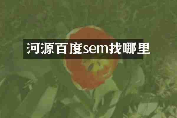 河源百度sem找哪里