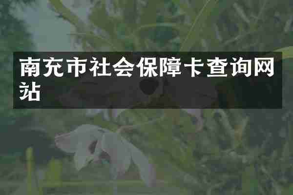 南充市社会保障卡查询网站