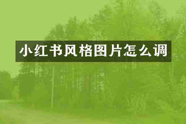 小红书风格图片怎么调