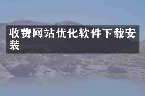 收费网站优化软件下载安装