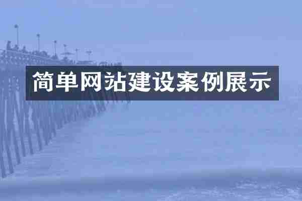 简单网站建设案例展示