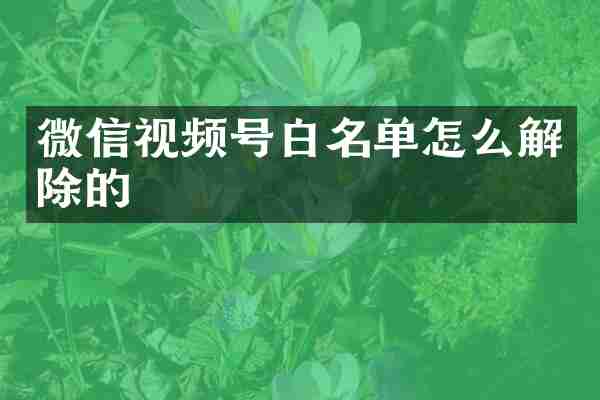 微信视频号白名单怎么解除的