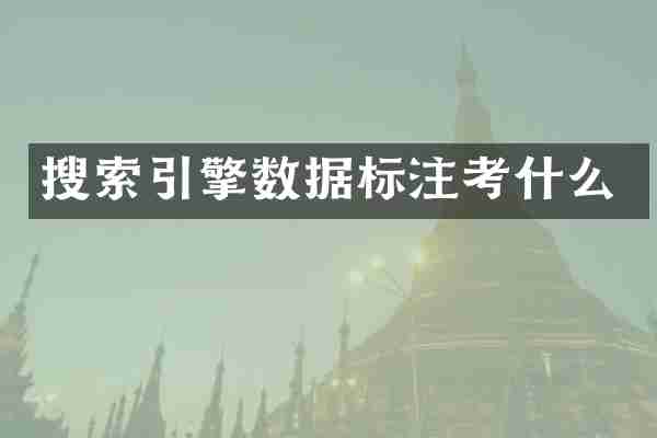 搜索引擎数据标注考什么