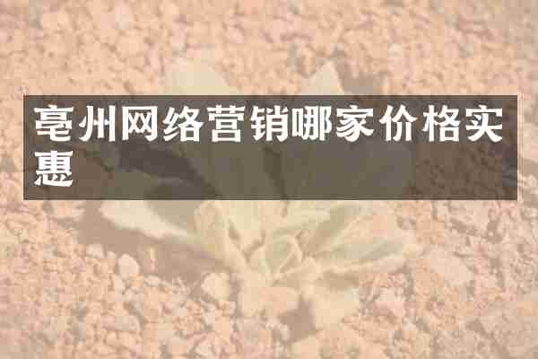 亳州网络营销哪家价格实惠