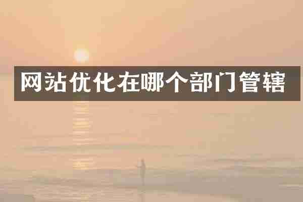 网站优化在哪个部门管辖