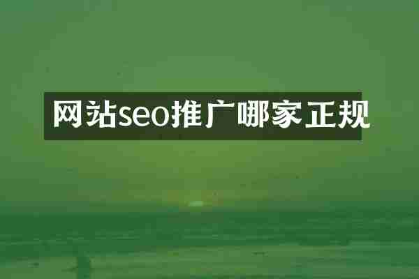 网站seo推广哪家正规