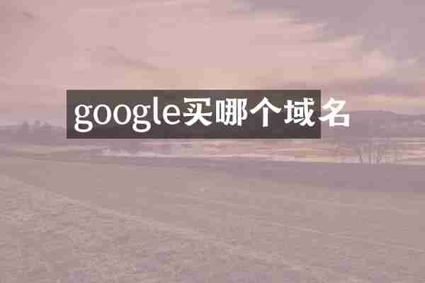 google买哪个域名