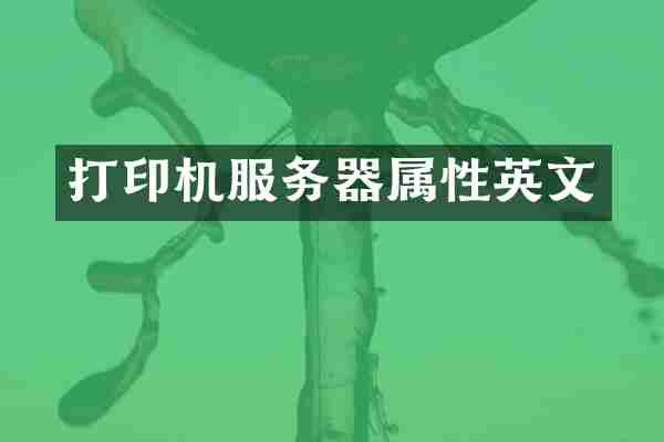 打印机服务器属性英文