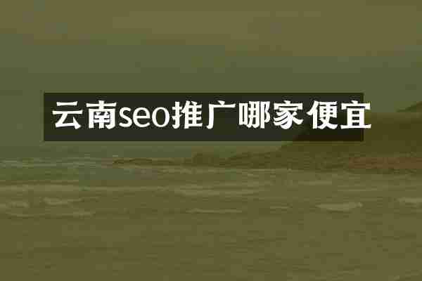 云南seo推广哪家便宜