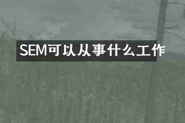 SEM可以从事什么工作