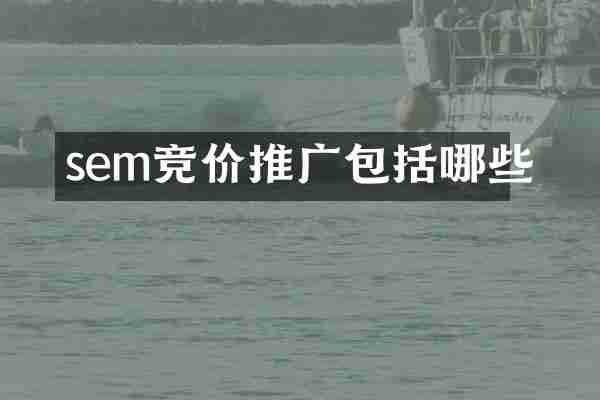 sem竞价推广包括哪些