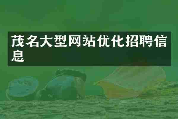 茂名大型网站优化招聘信息