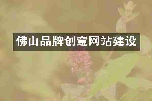 佛山品牌创意网站建设