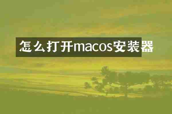 怎么打开macos安装器