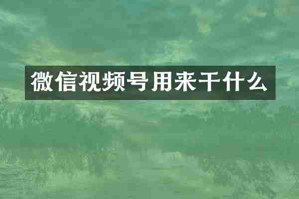 微信视频号用来干什么