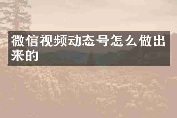 微信视频动态号怎么做出来的