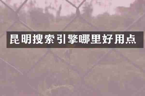 昆明搜索引擎哪里好用点