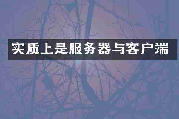 实质上是服务器与客户端