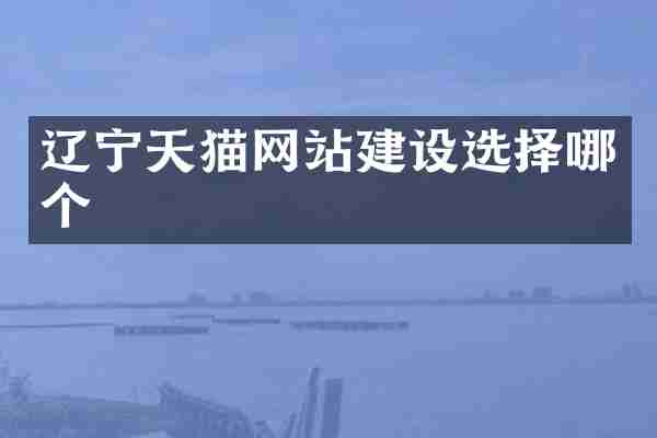 辽宁天猫网站建设选择哪个
