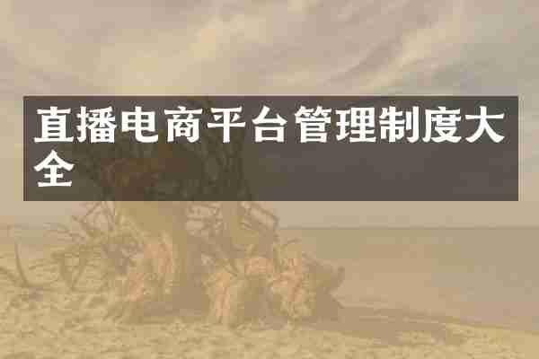 直播电商平台管理制度大全