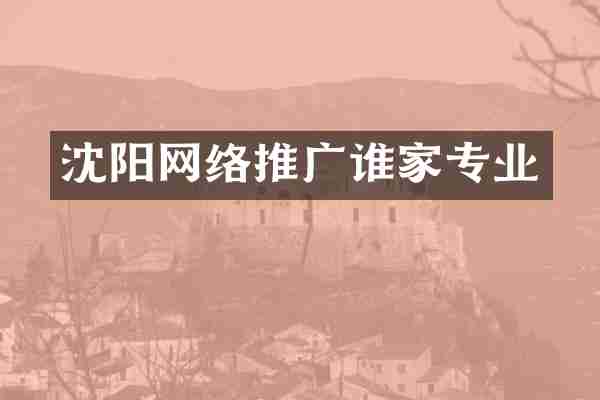 沈阳网络推广谁家专业