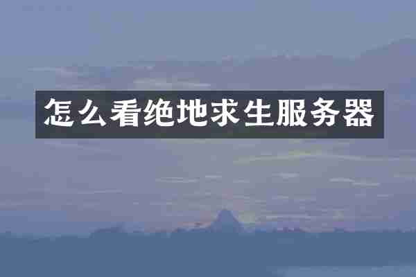 怎么看绝地求生服务器