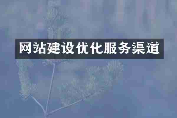 网站建设优化服务渠道