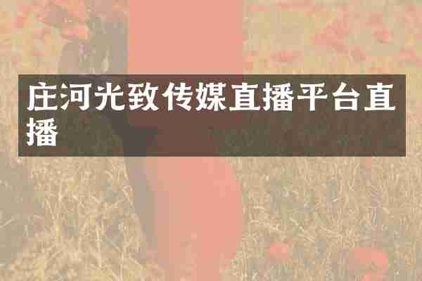 庄河光致传媒直播平台直播