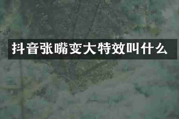 抖音张嘴变大特效叫什么