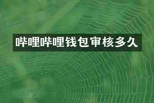 哔哩哔哩钱包审核多久