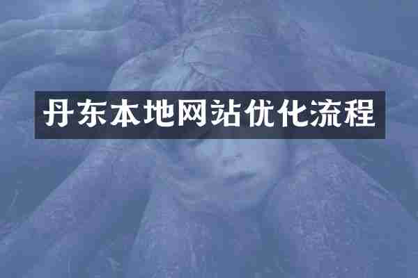 丹东本地网站优化流程