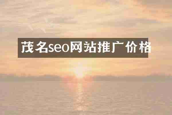 茂名seo网站推广价格