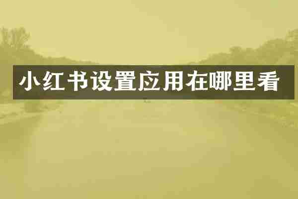 小红书设置应用在哪里看