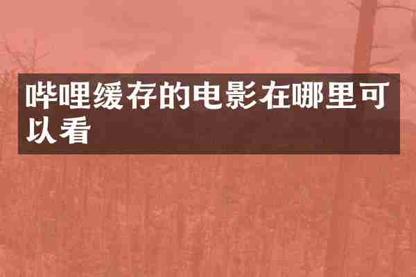 哔哩缓存的电影在哪里可以看
