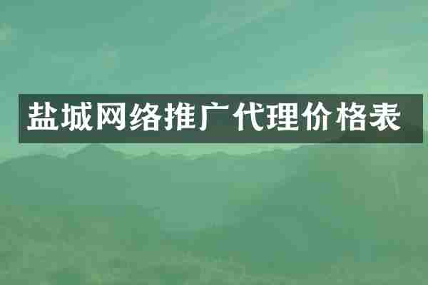 盐城网络推广代理价格表
